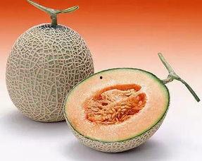 葫芦瓜吃皮还是吃瓤好吃,皮与瓤，谁更美味？  第3张